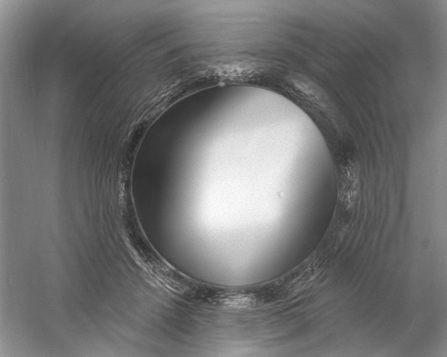 X0000060740456200512011424