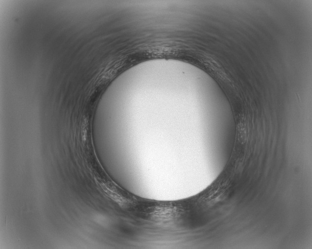 X0000060740458200512011424