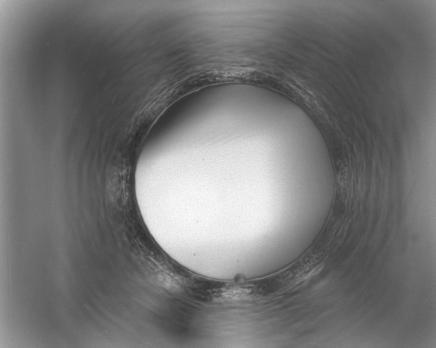 X0000060740462200512011424