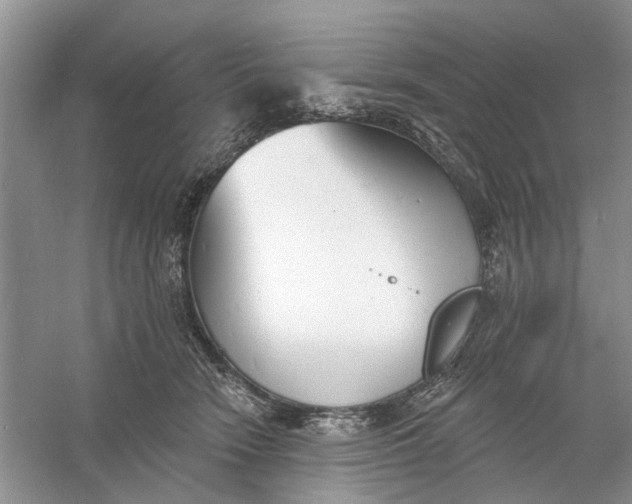 X0000060740466200512011424