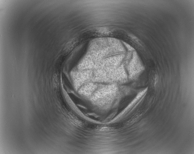 X0000060740467200512011424