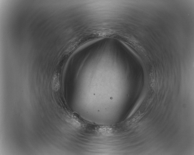 X0000060740471200512011425