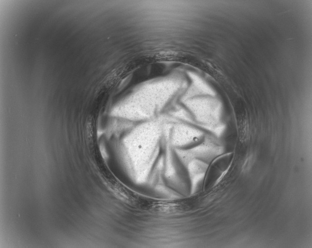 X0000060740472200512011425