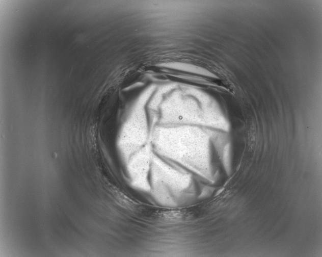 X0000060740473200512011425