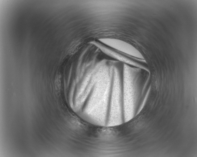 X0000060740475200512011425