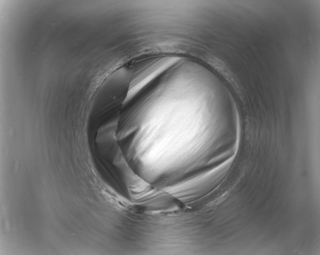 X0000060740481200512011424