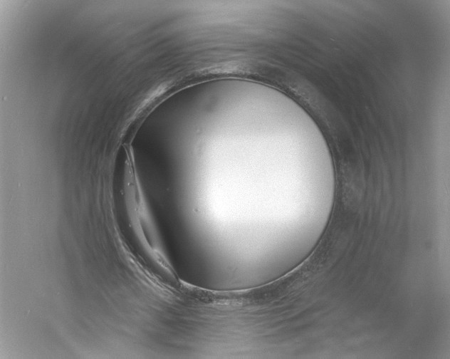 X0000060740482200512011424