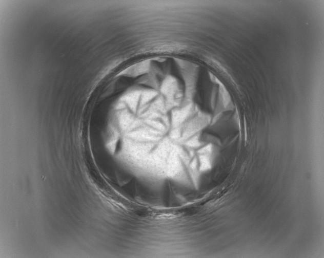 X0000060740483200512011424