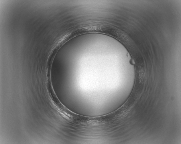 X0000060740490200512011424