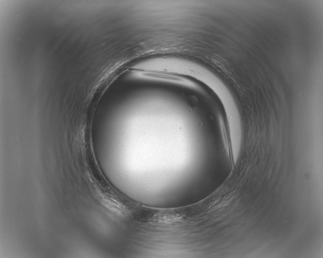 X0000060740491200512011424