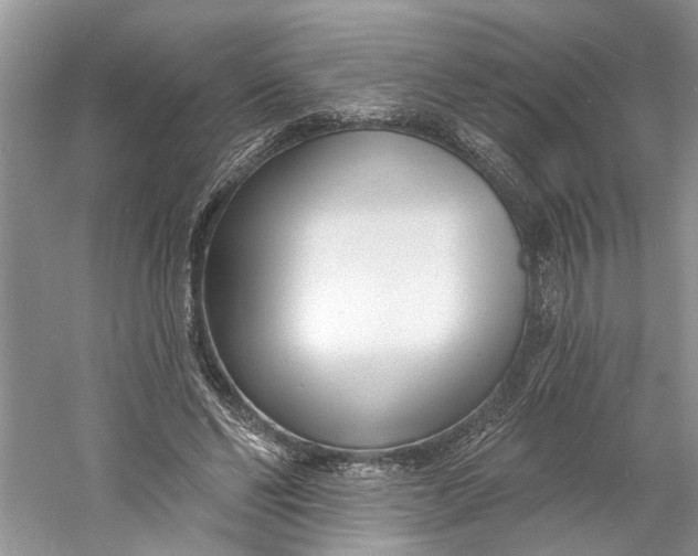 X0000060740494200512011424