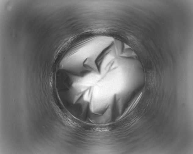 X0000060740495200512011424