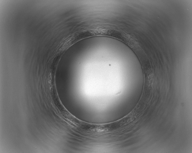 X0000060740498200512011424