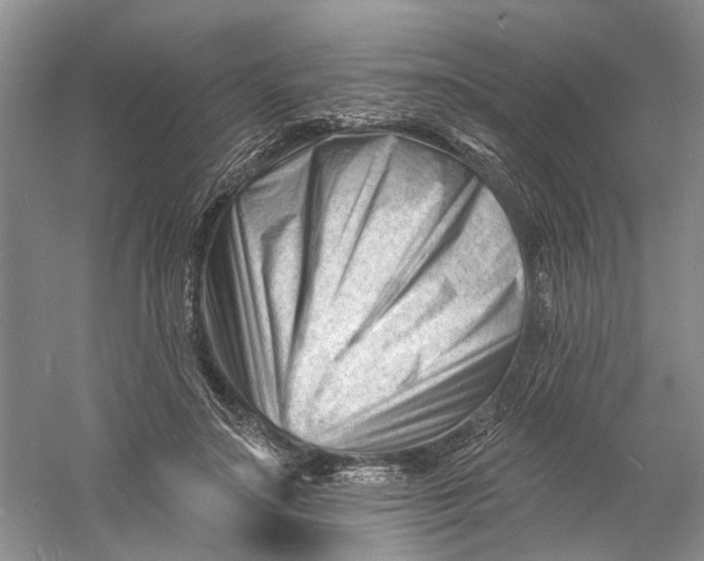 X0000060740499200512011424