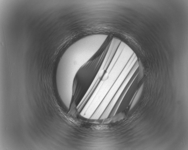 X0000060740501200512011423