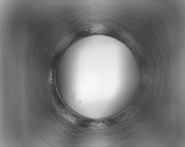 X0000060740502200512011423