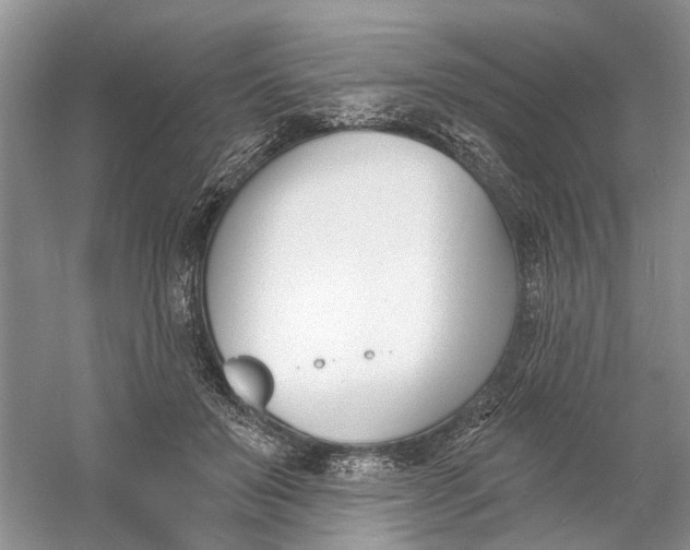 X0000060740503200512011423