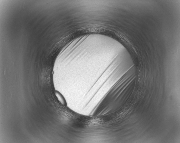 X0000060740505200512011423