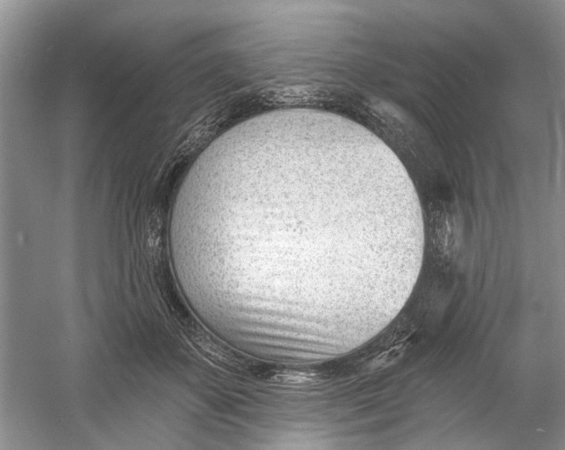 X0000060740507200512011423