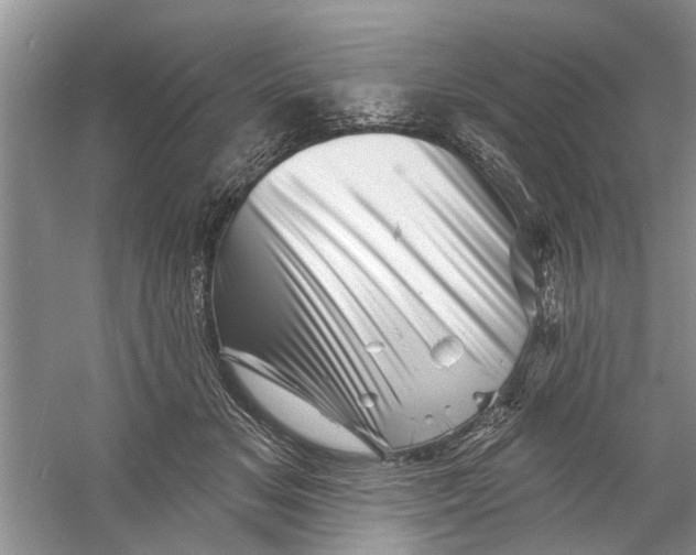 X0000060740509200512011423