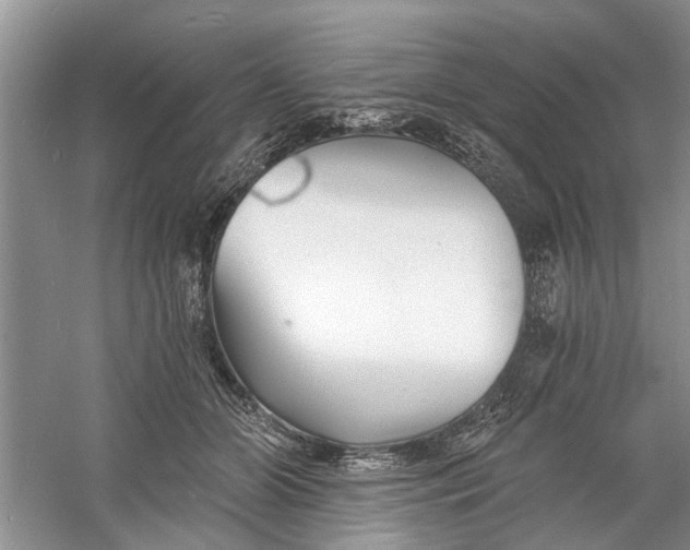 X0000060740510200512011423