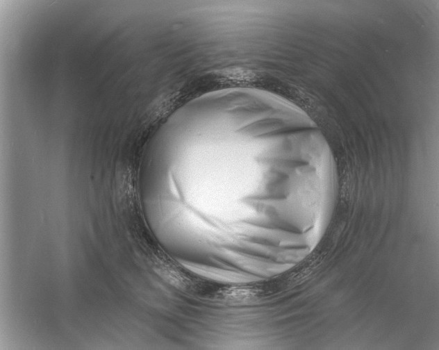 X0000060740518200512011423