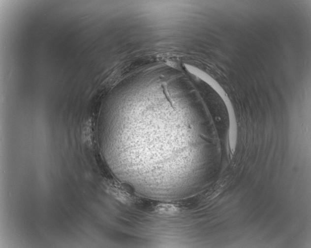 X0000060740519200512011423