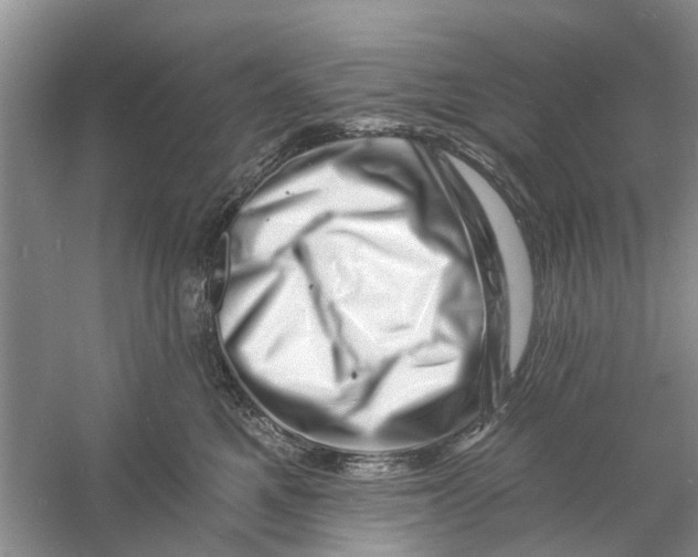 X0000060740521200512011423