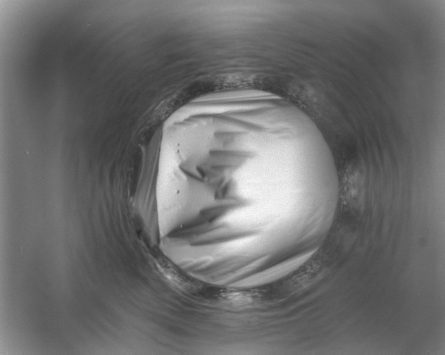 X0000060740522200512011423