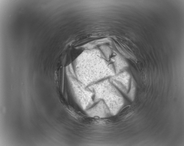 X0000060740523200512011423