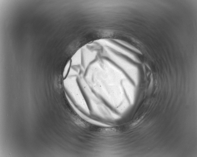 X0000060740525200512011423