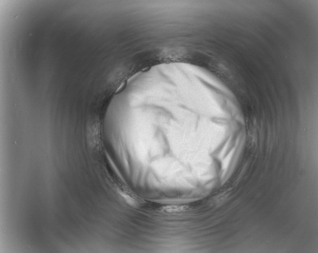 X0000060740526200512011423