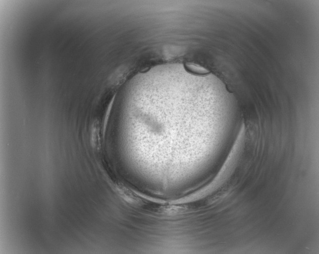 X0000060740527200512011423