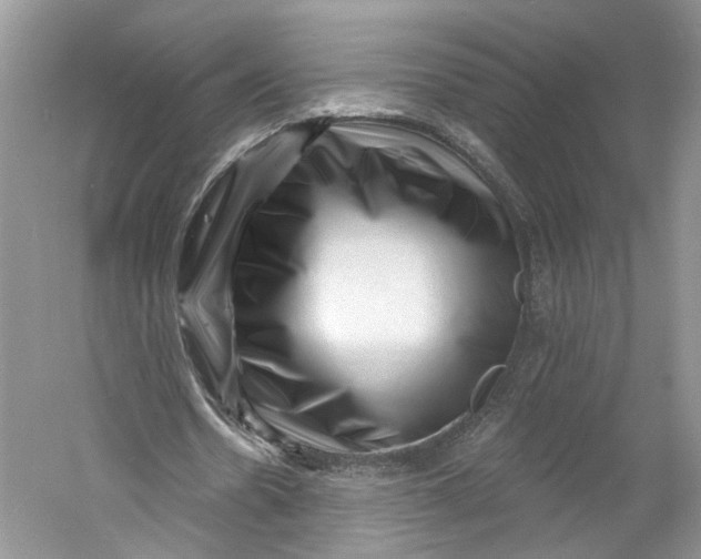 X0000060740530200512011422