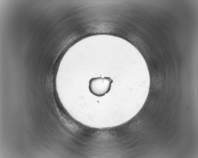 X0000060740534200512011422