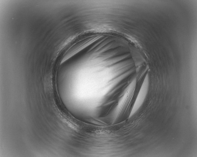 X0000060740535200512011422