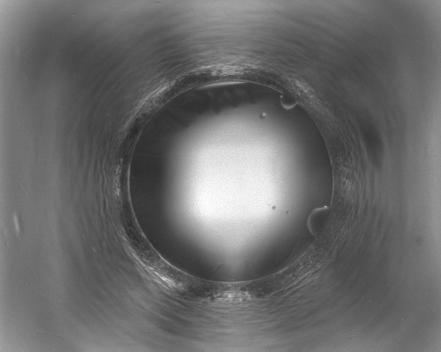 X0000060740543200512011422