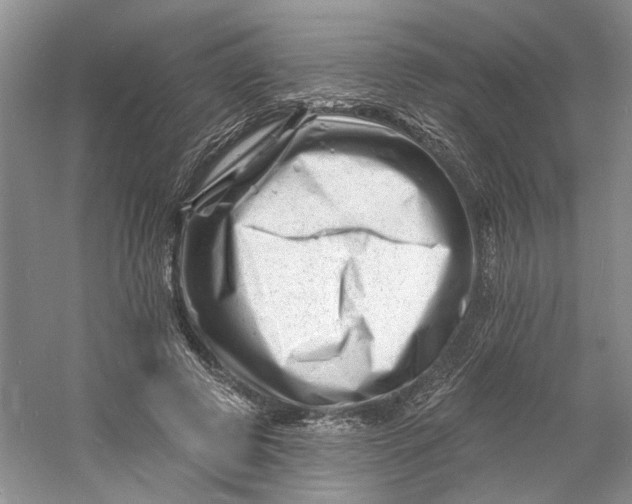 X0000060740545200512011422