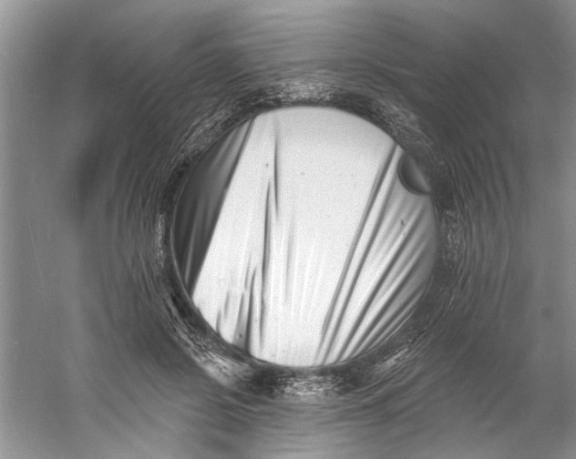 X0000060740550200512011423