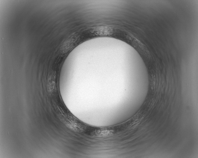 X0000060740553200512011423