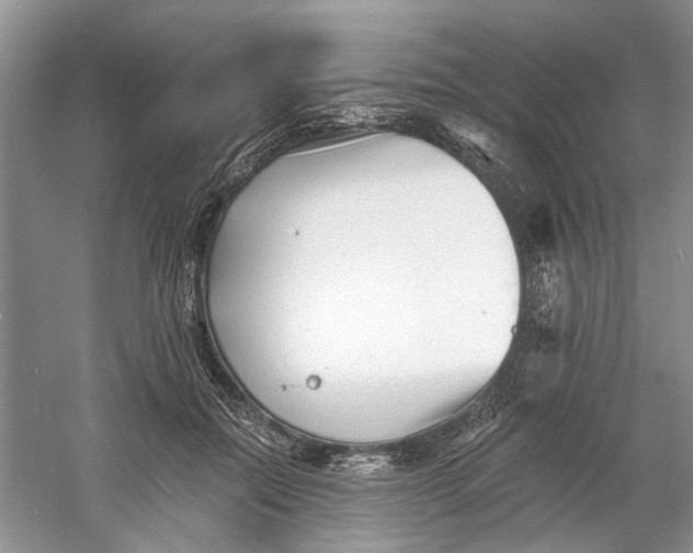 X0000060740554200512011423