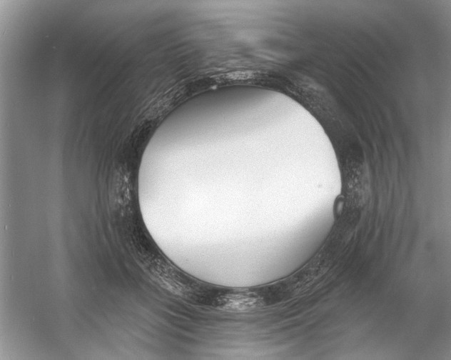 X0000060740555200512011423