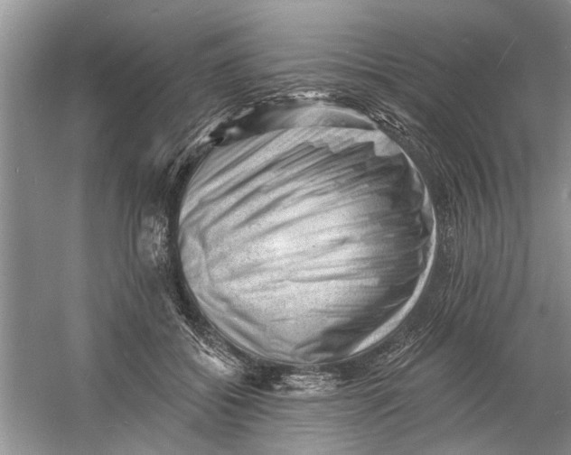 X0000060740556200512011423