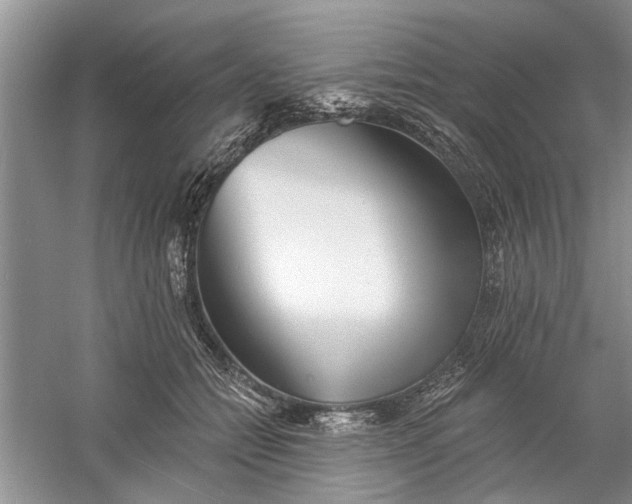 X0000060740558200512011423