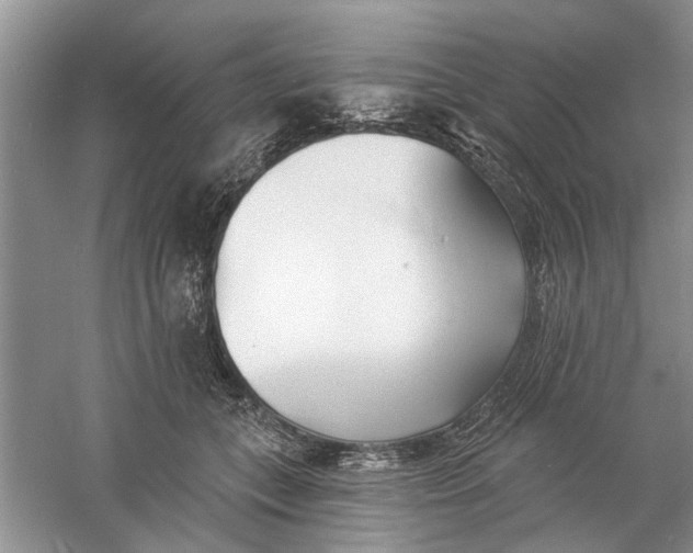 X0000060740559200512011423