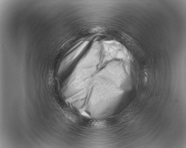 X0000060740560200512011423