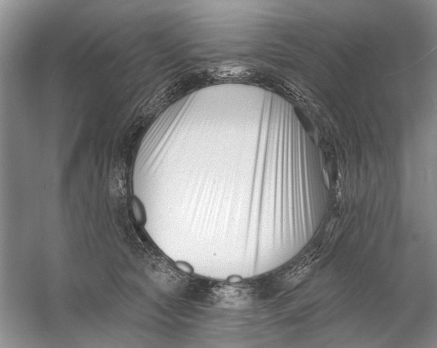 X0000060740561200512011423