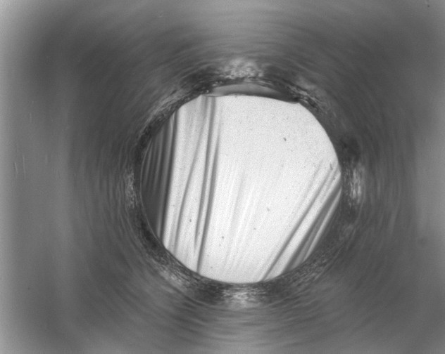 X0000060740564200512011423