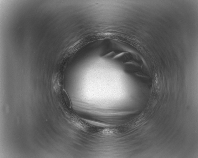 X0000060740566200512011423