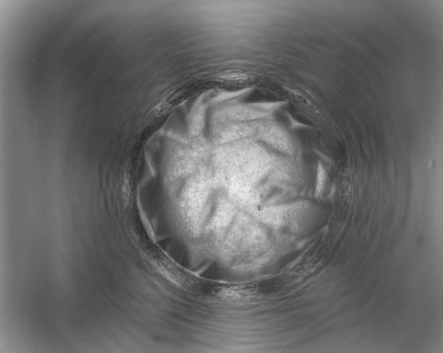 X0000060740568200512011423